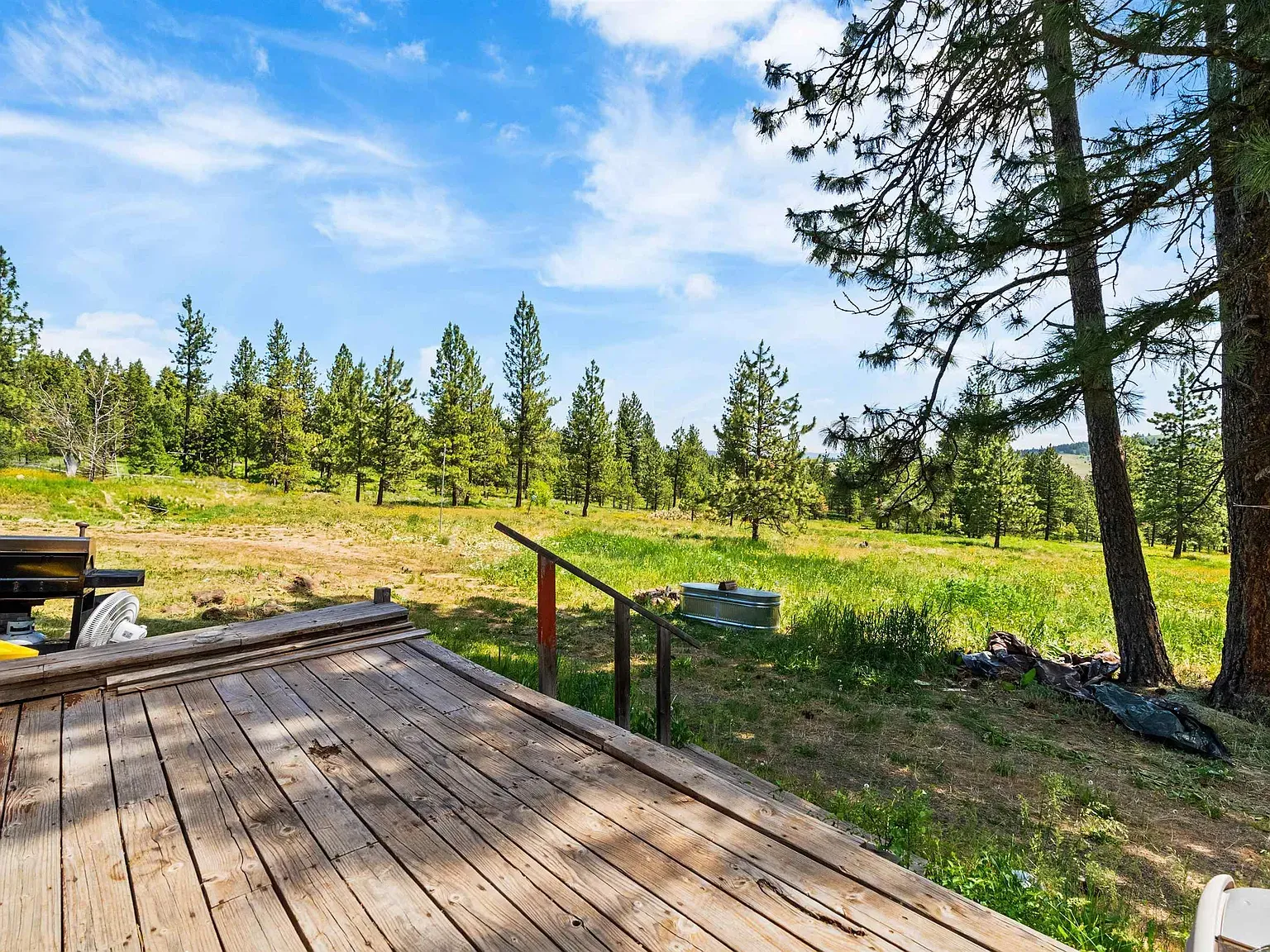 Weathered wood planks underfoot, meadow stretching beyond the pines.