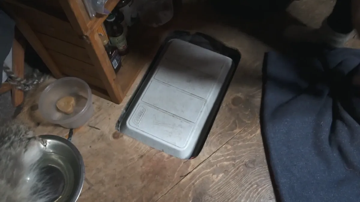 Frame at 5:17
