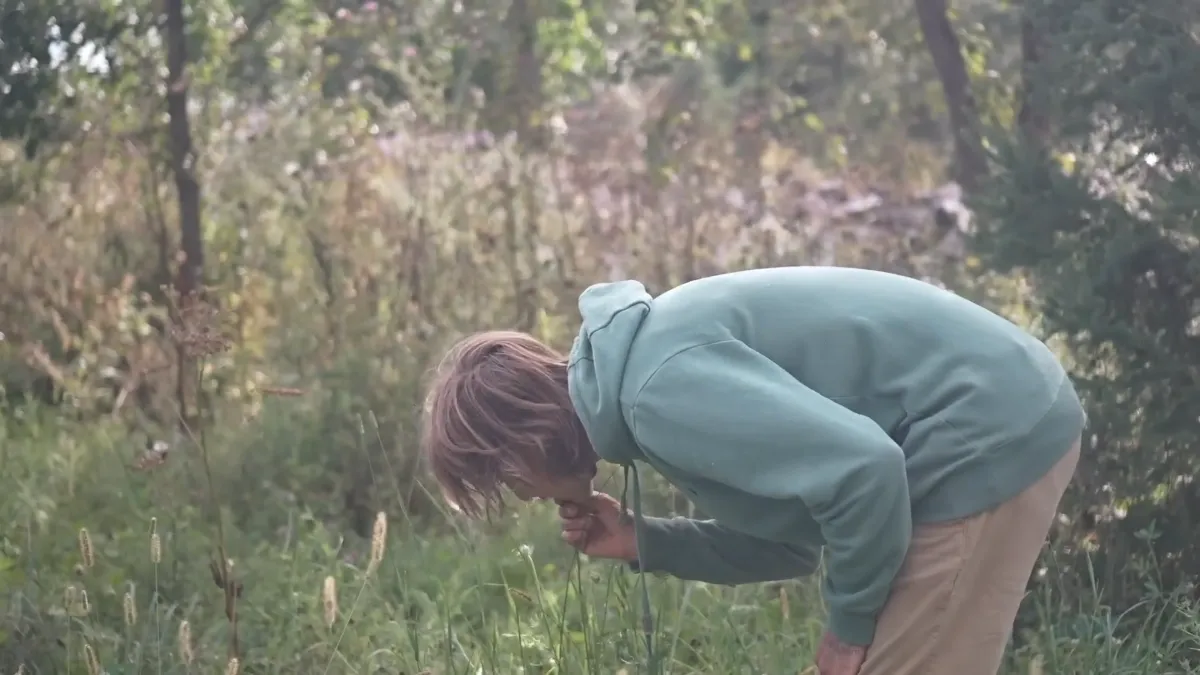 Frame at 7:21