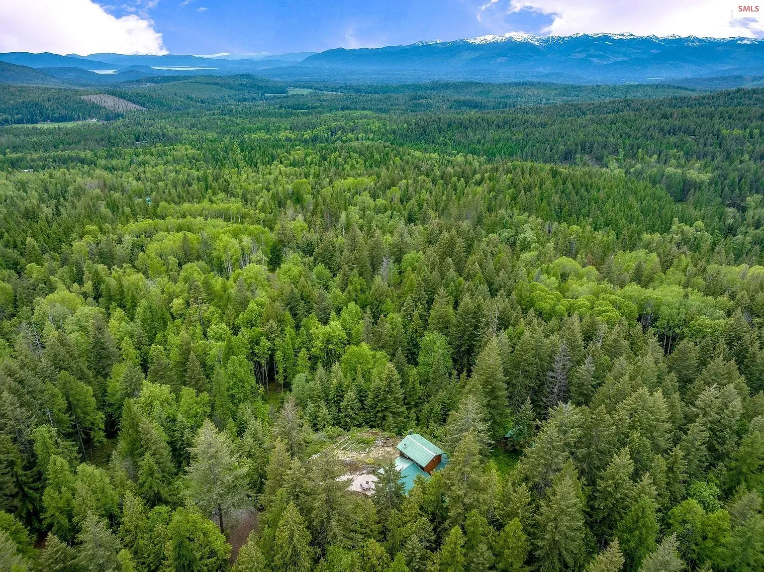 ## A sea of green treetops rolling to distant mountains—yeah, that view hits.