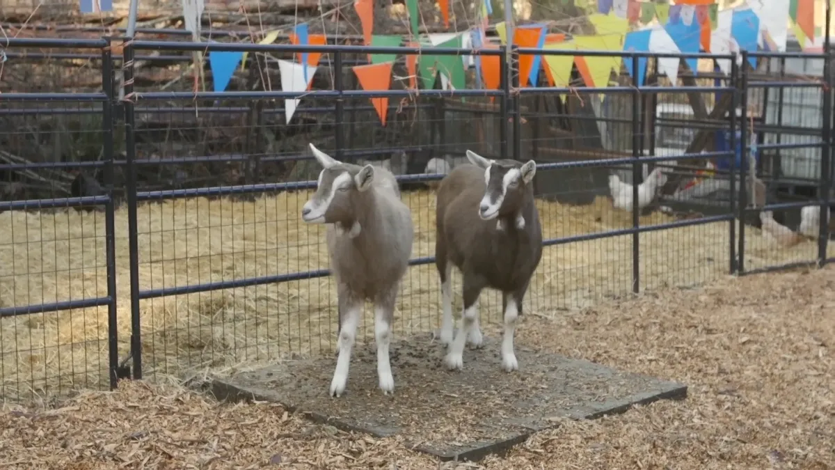 Frame at 09:52
