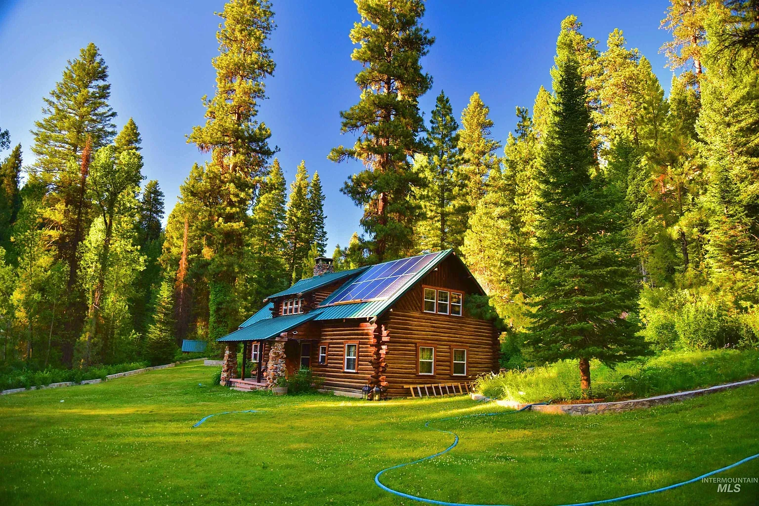 ## Evergreen sentinels frame warm log siding; that green roof nods to the forest, quiet and sure.