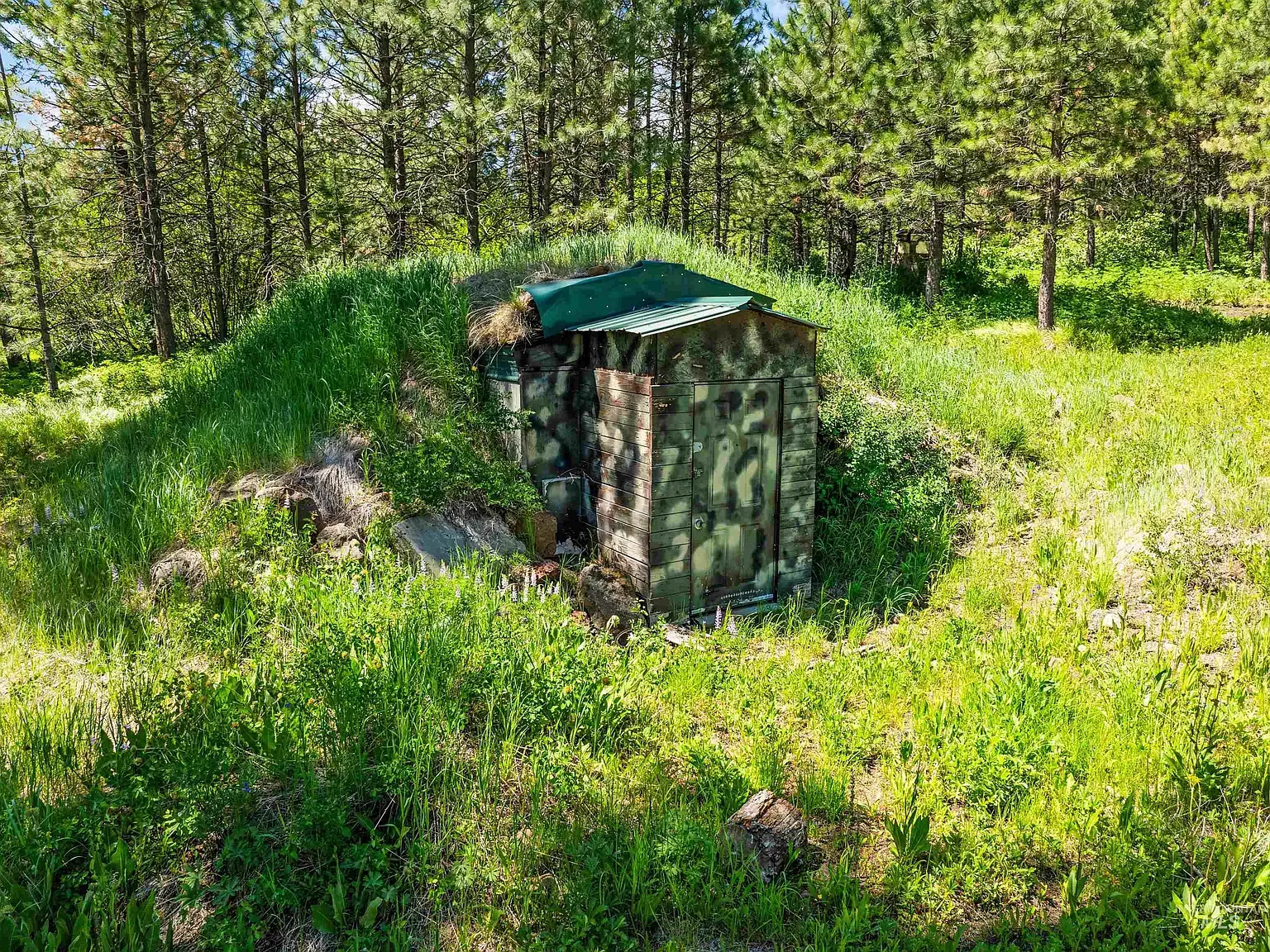 Small structure tucked in dense woods. Mottled greens and browns.