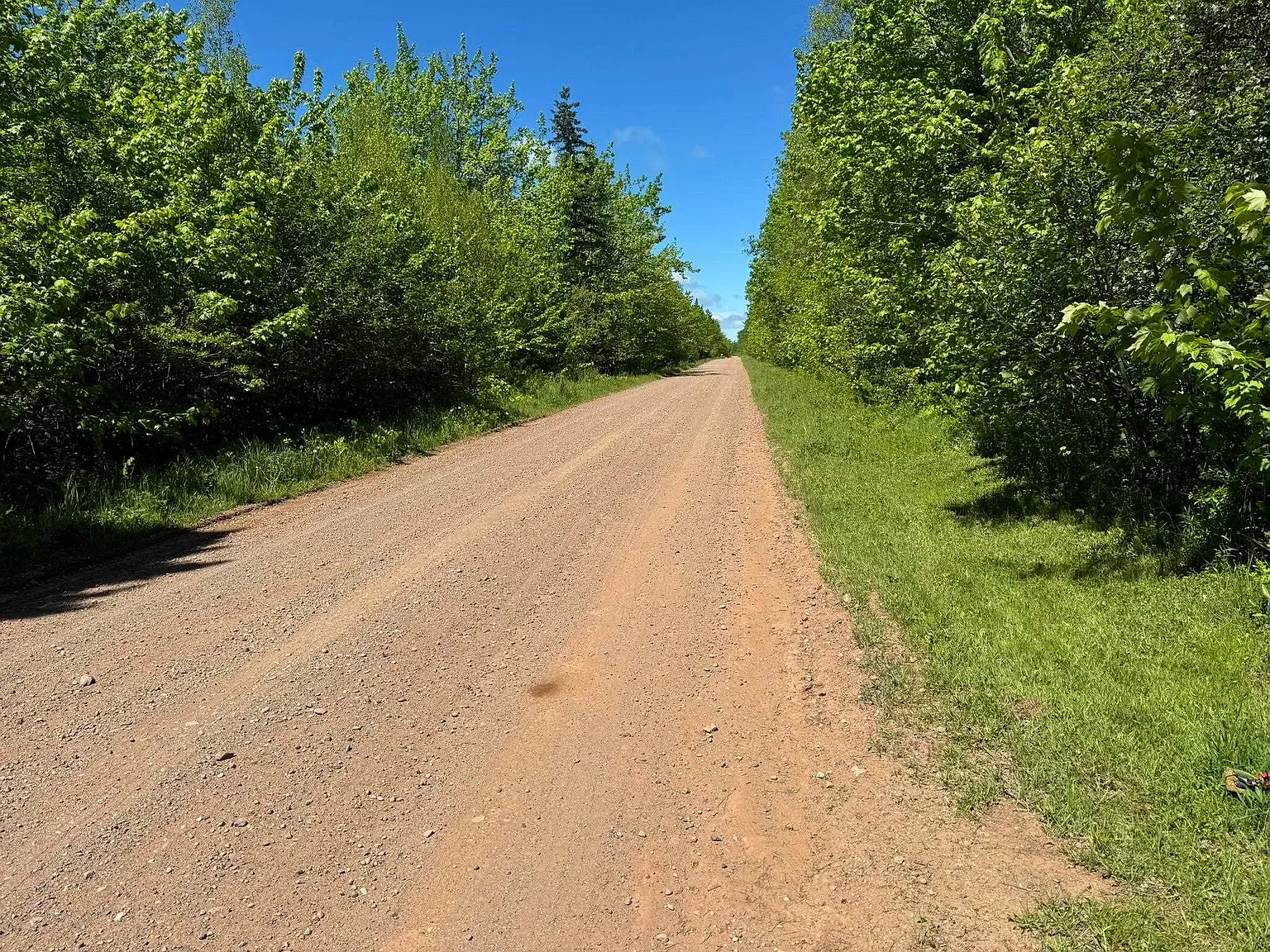 Final shot. rutted dirt road through green. Feels you just keep walking.
