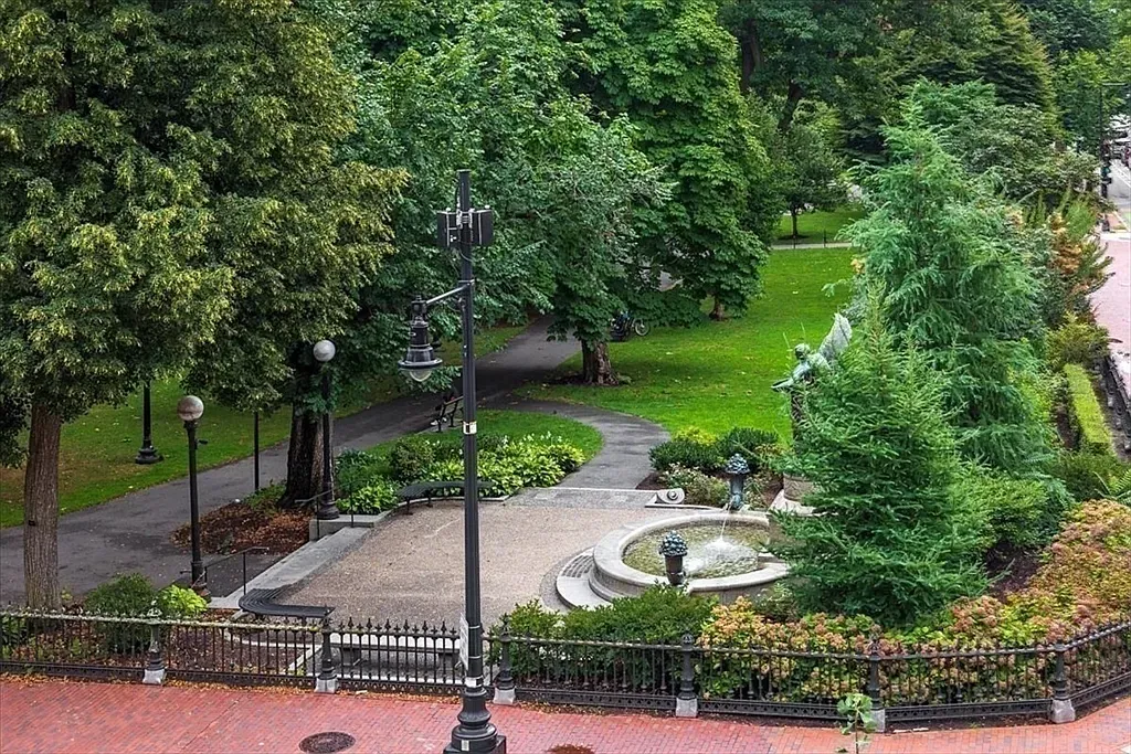 "Check out this serene park view right outside!"