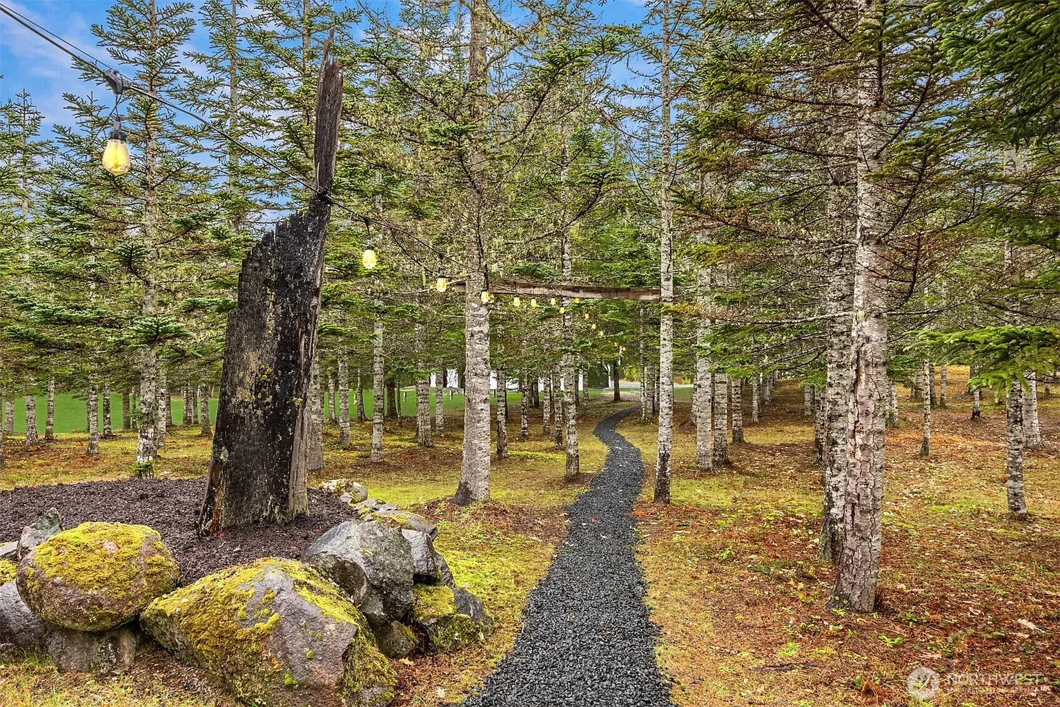 Forest trail vibes — crushed gravel, tall pines, everything trimmed and tidy.