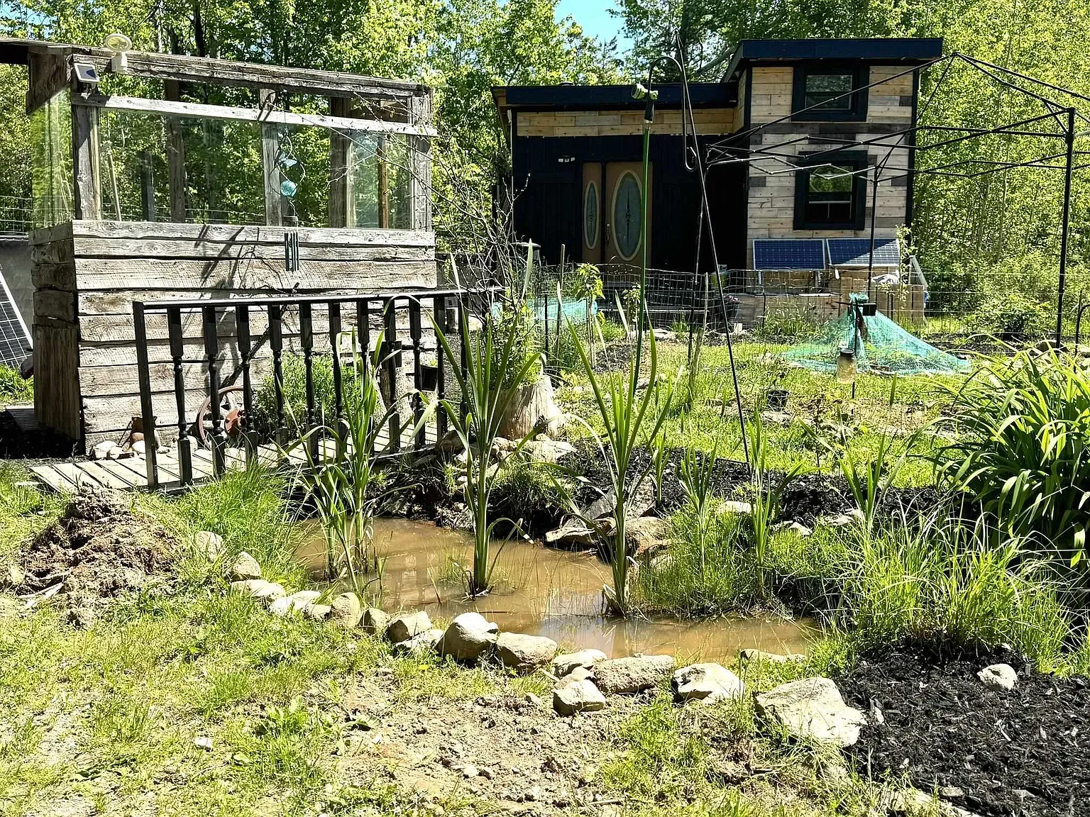 Okay, tiny pond moment. Stones ring it nicely. Frogs probably own the HOA.