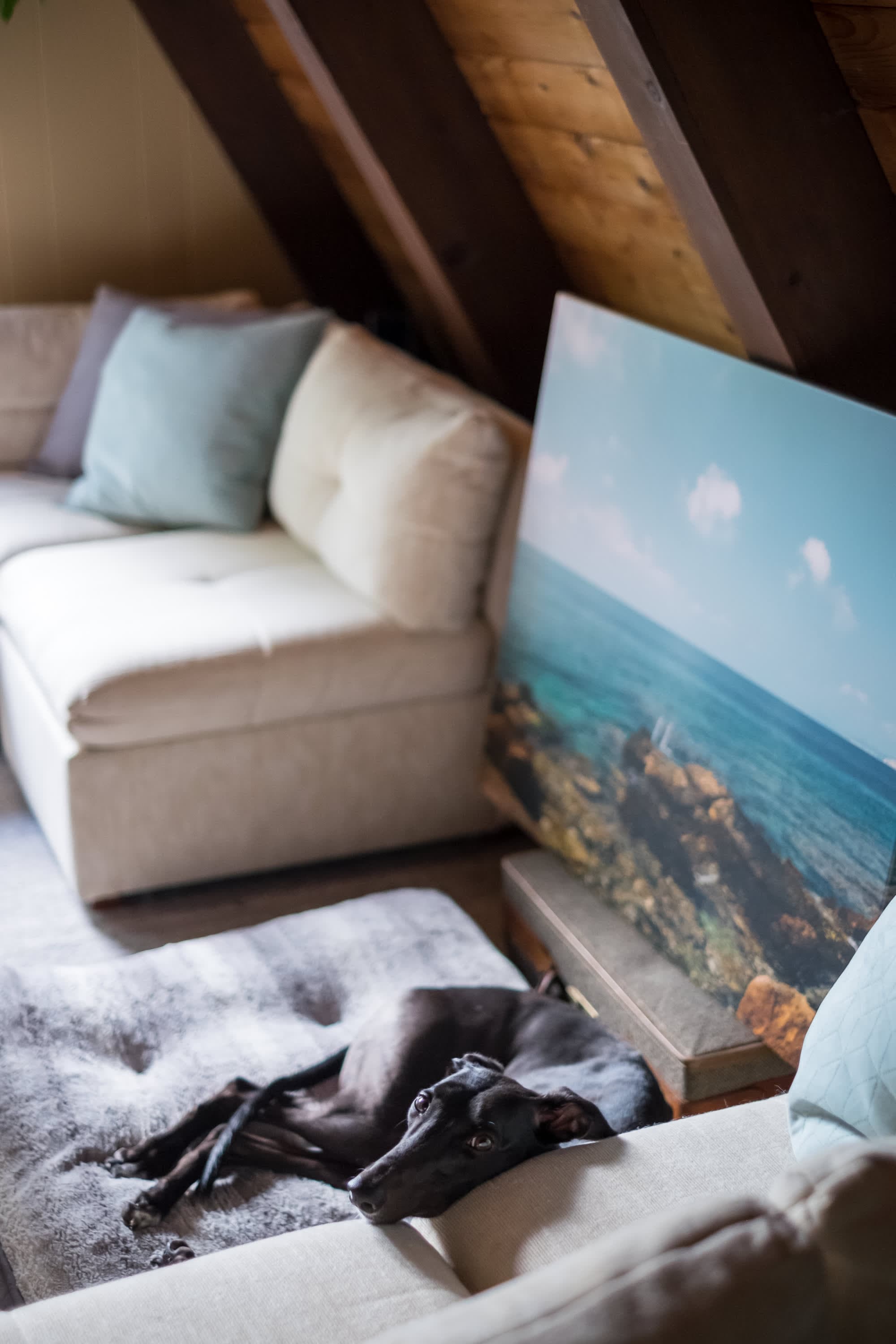 "Cozy A-frame retreat with ocean views and a sleepy pup!"