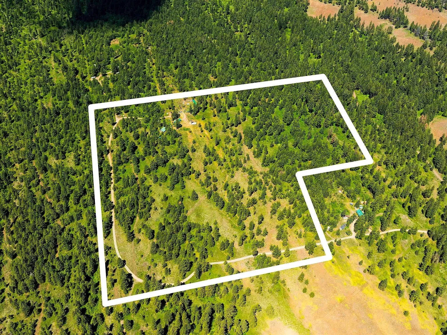 Overhead view of green land with a white boundary line.