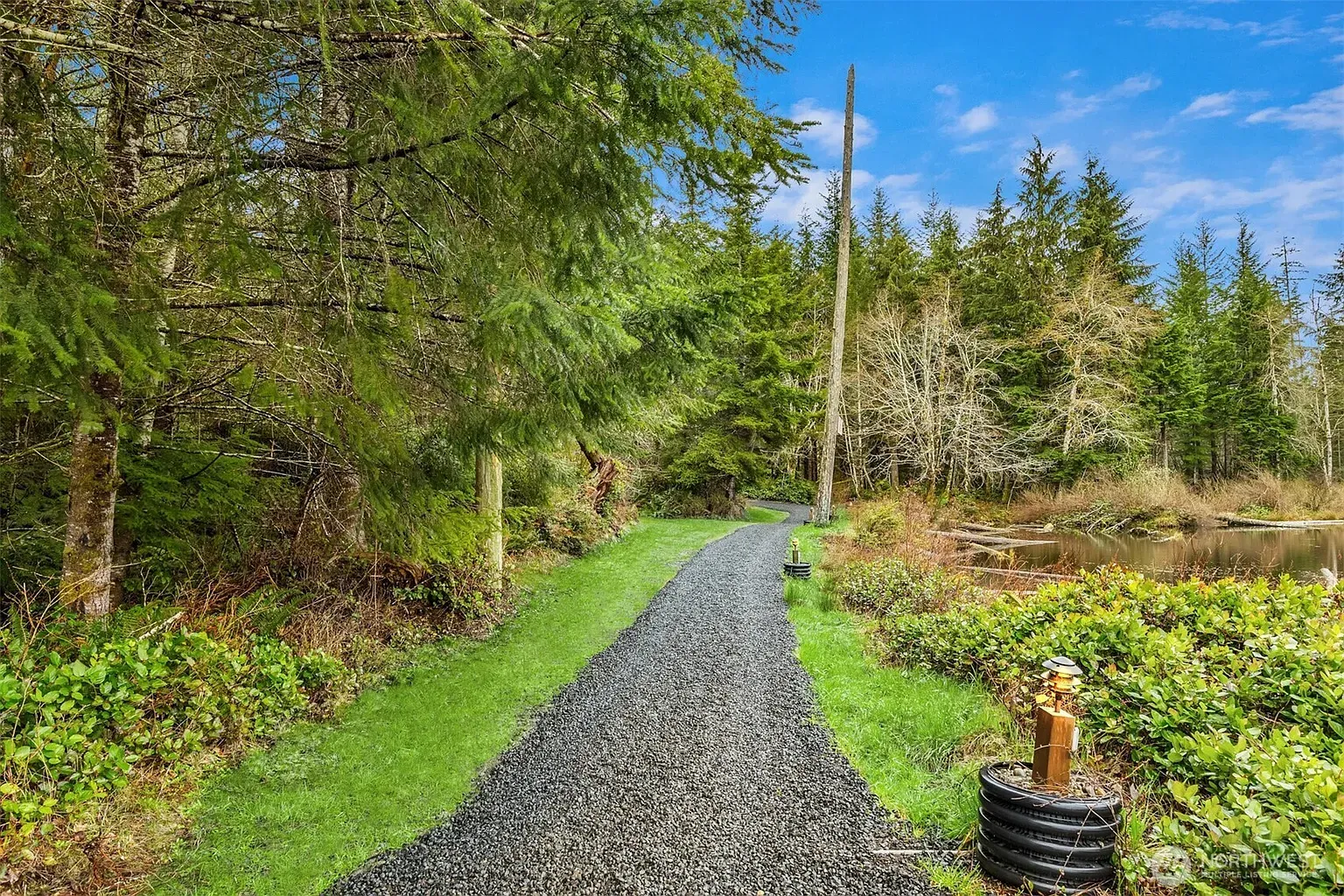 Gravel path winding to a pond, edges peeking through the greenery.