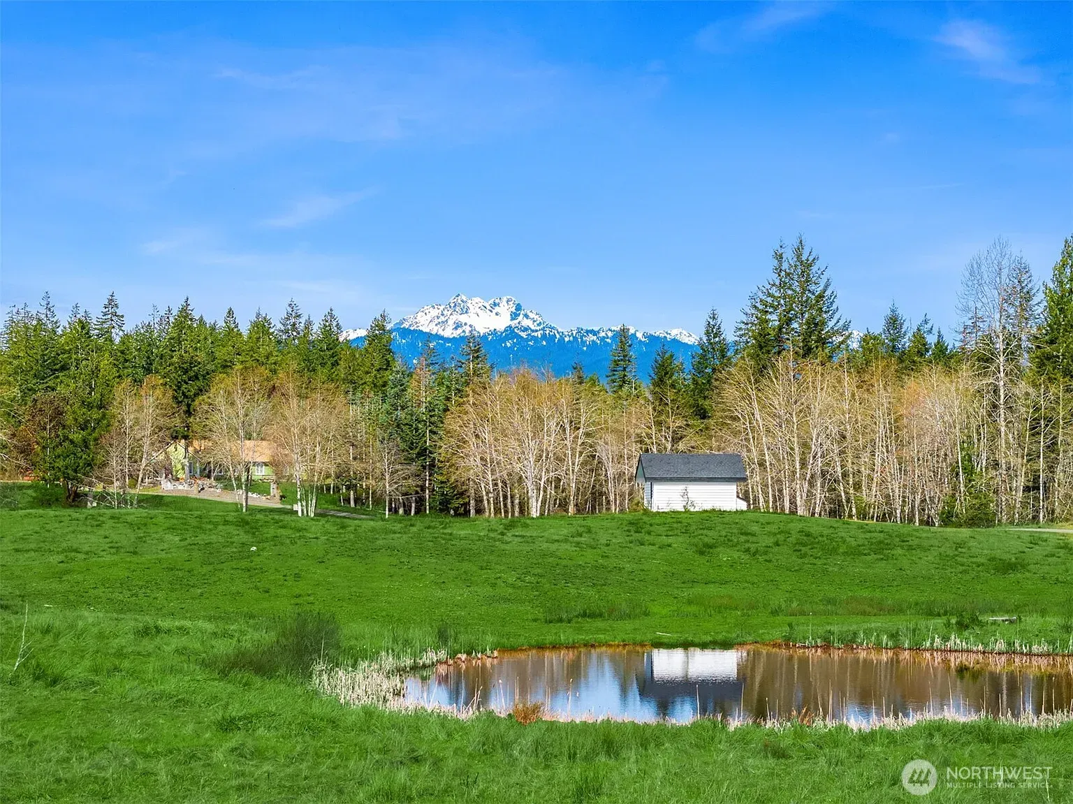 Okay, the nature here just slaps. Meadow, wildflowers, mountains. Wow.