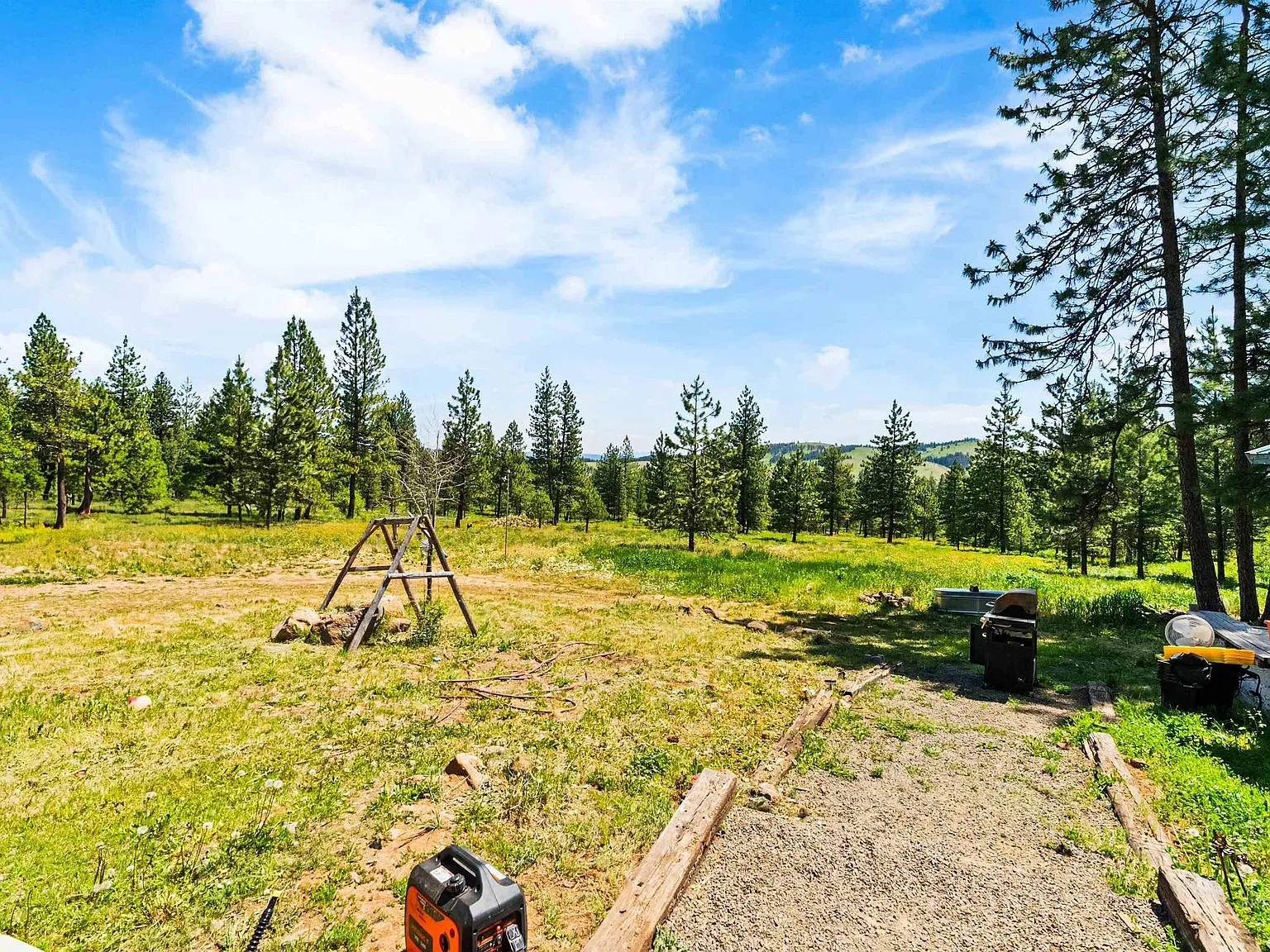 Wide green yard, tall evergreens under a bright blue sky.