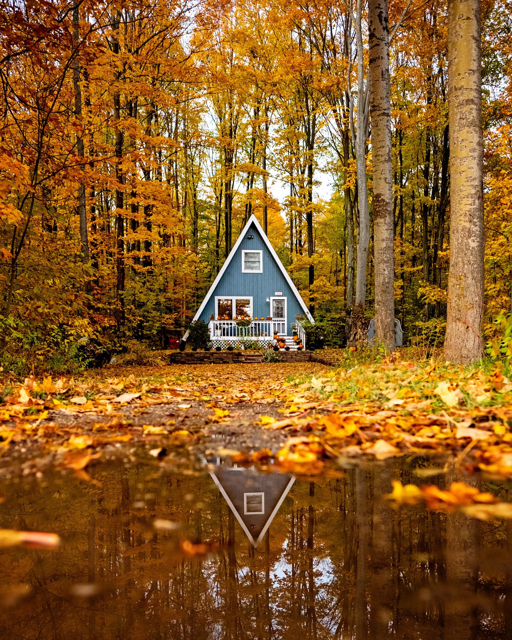 "Cozy A-frame cabin nestled in stunning fall foliage!"