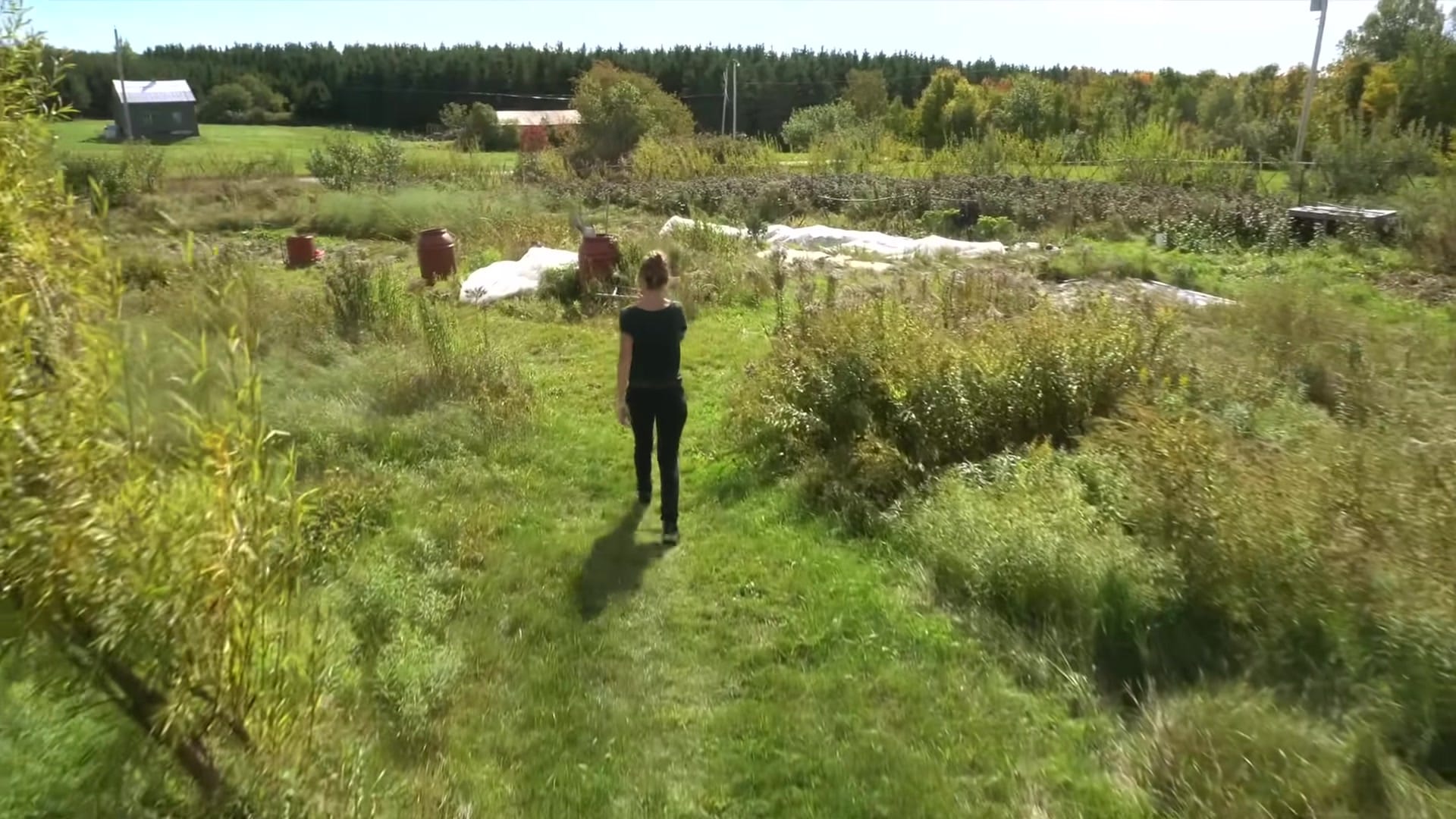 Screenshot at 0:41