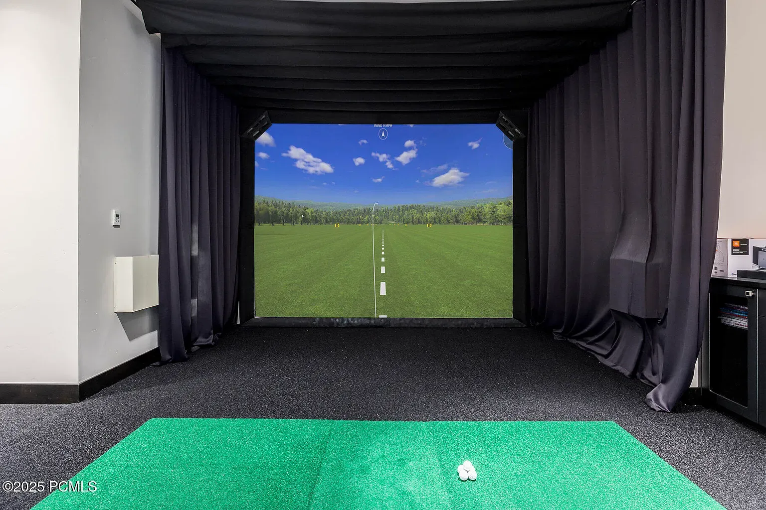 Indoor golf cave. Massive screen, fake fairway, real excuses.