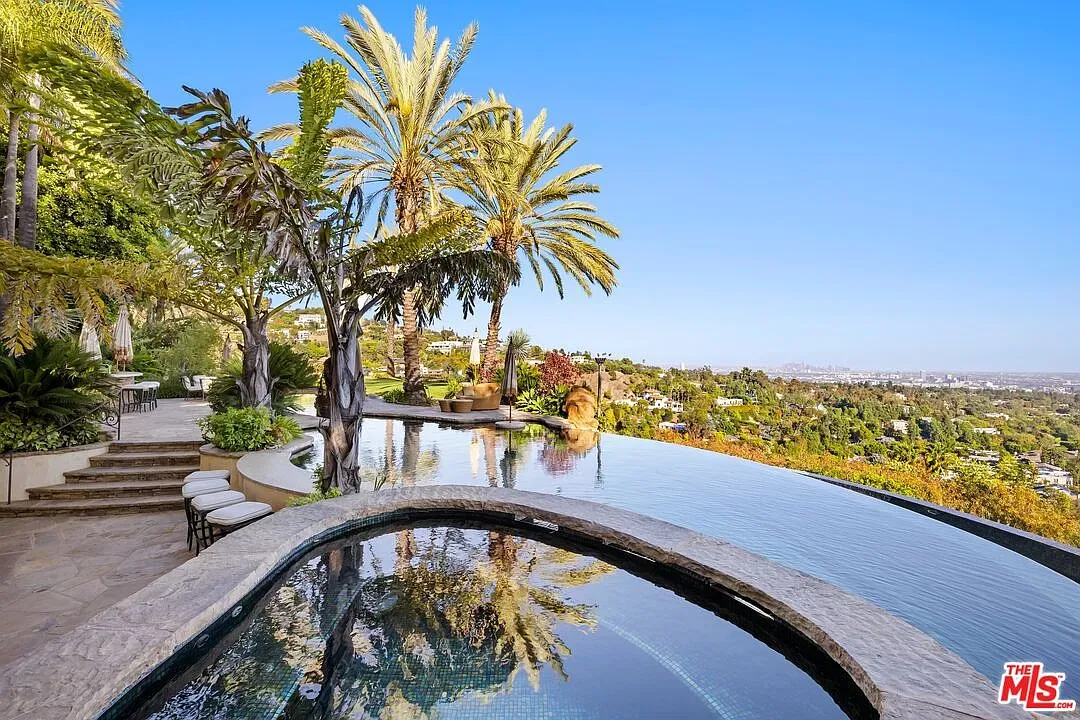 From this angle, infinity edge melts into the view—palms doing the drama.