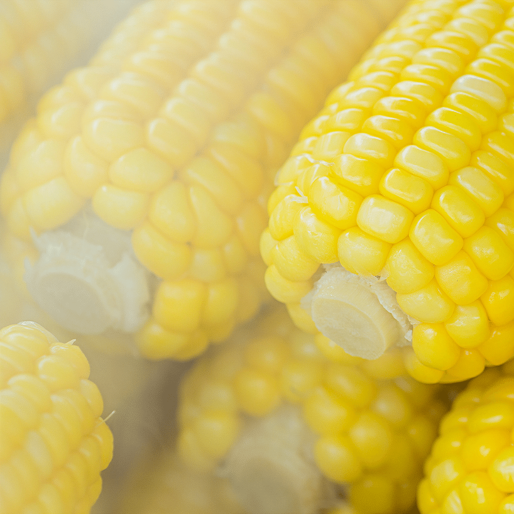 Corn