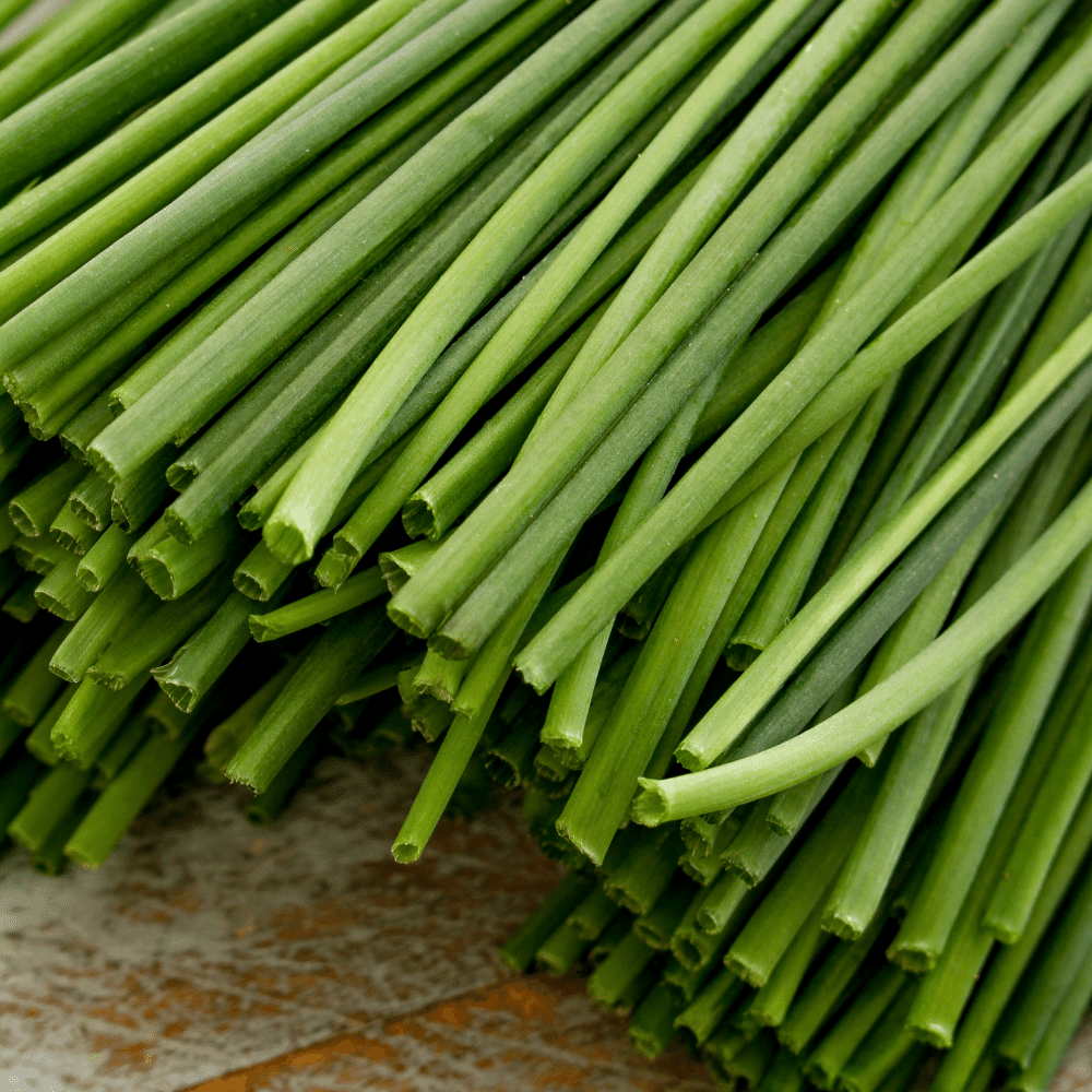 Chives