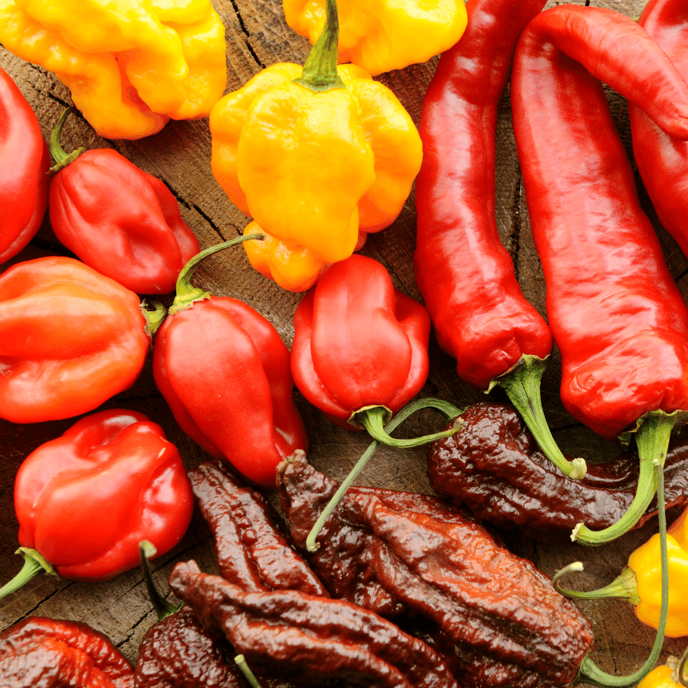 Peppers