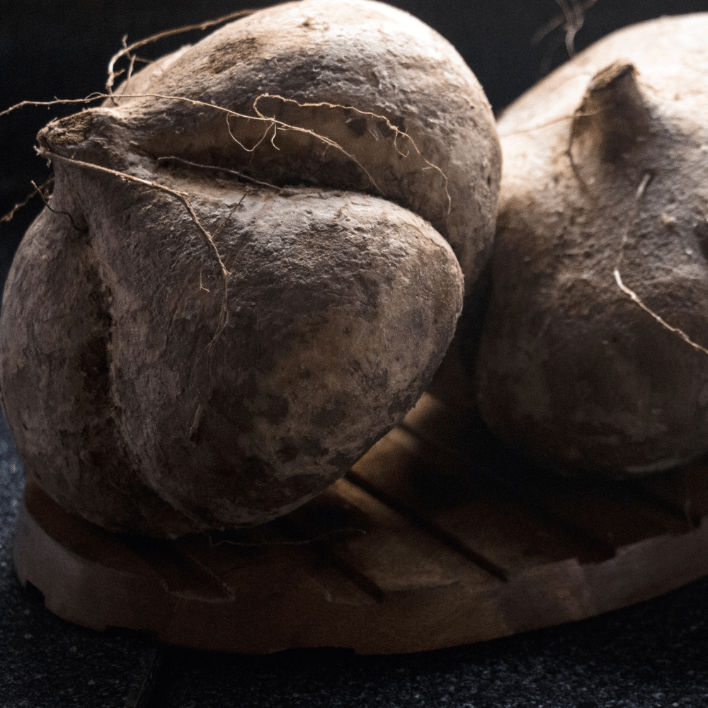 jicama