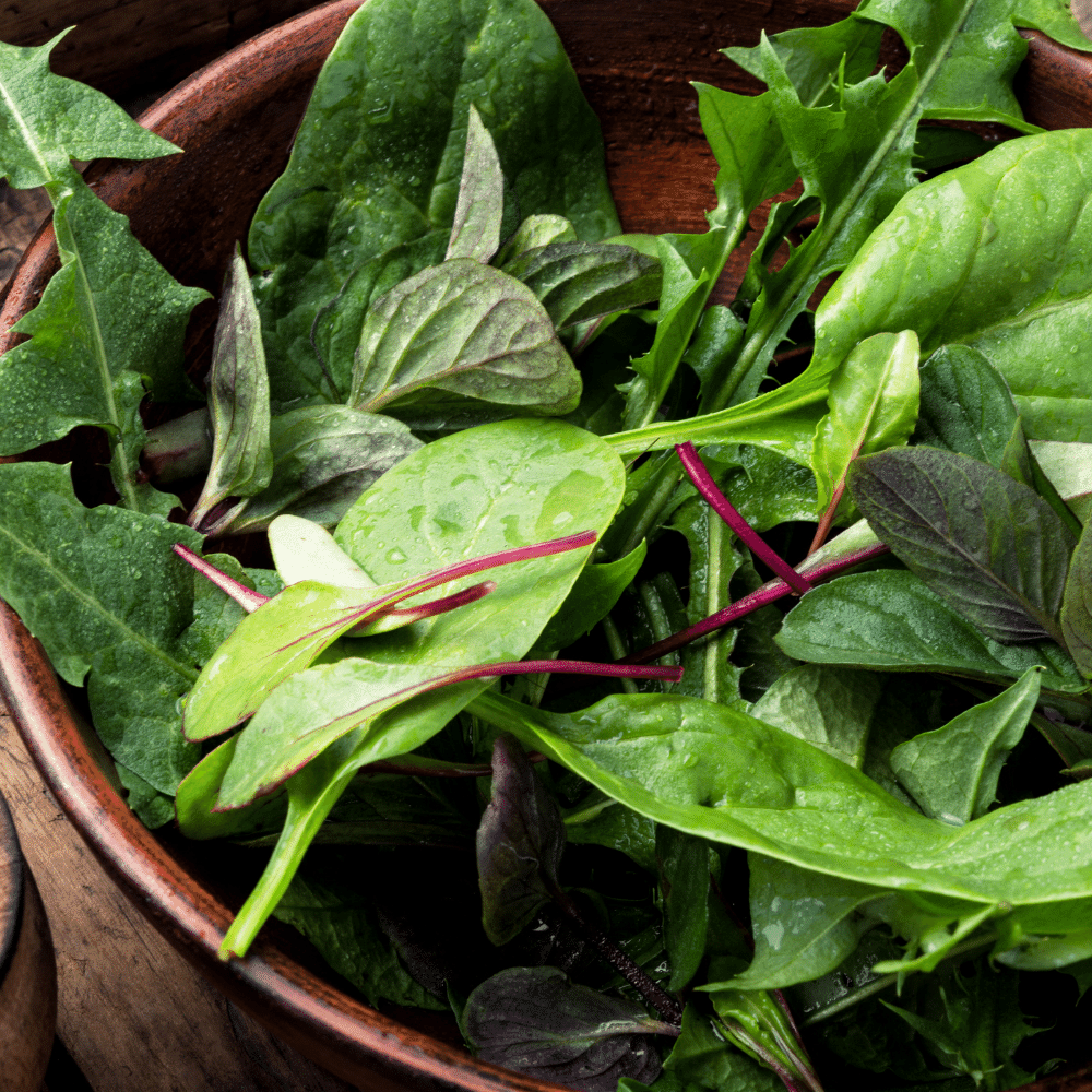 Mixed Leaf Salad