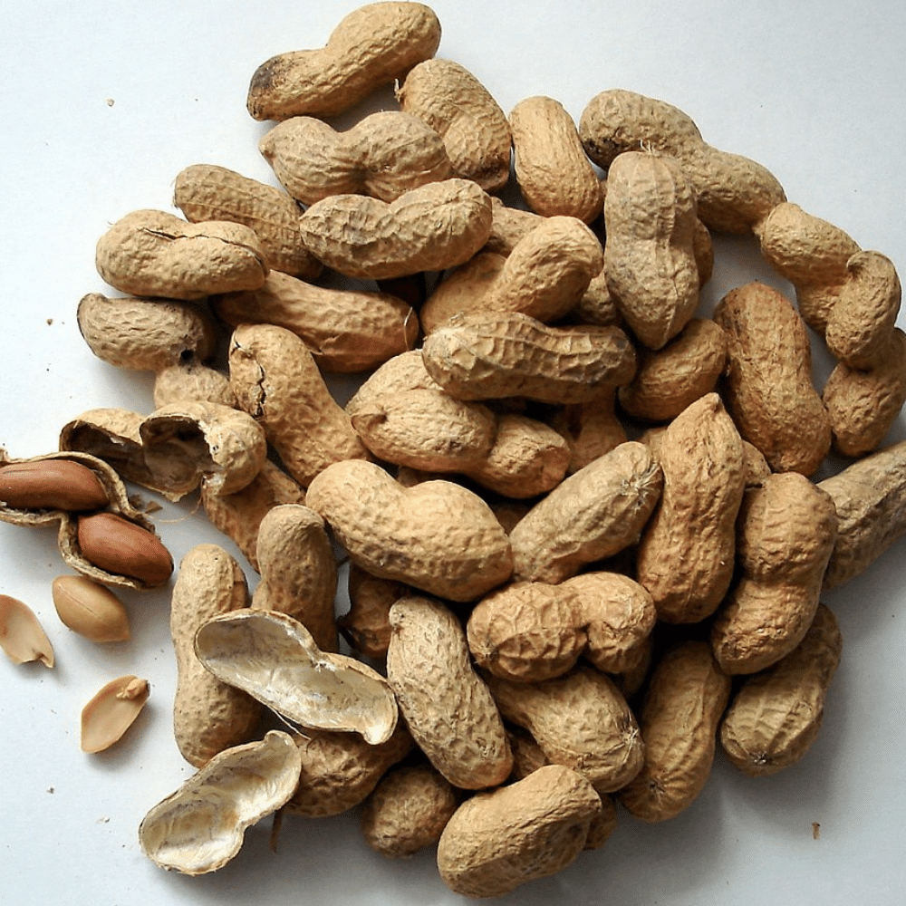 Peanuts