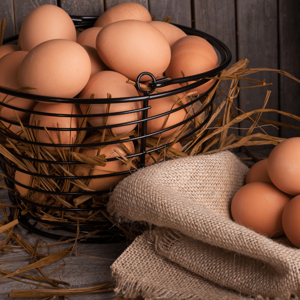 Eggs