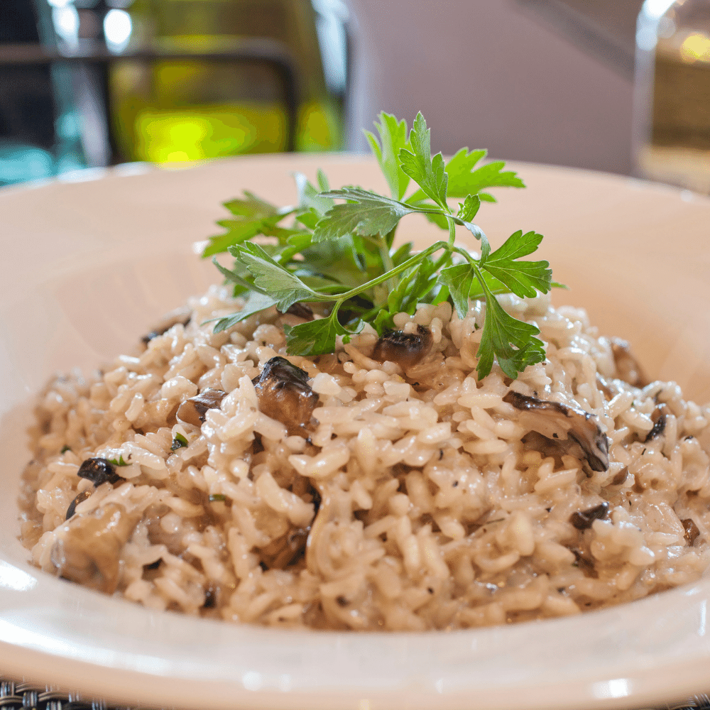Orzo Noodles