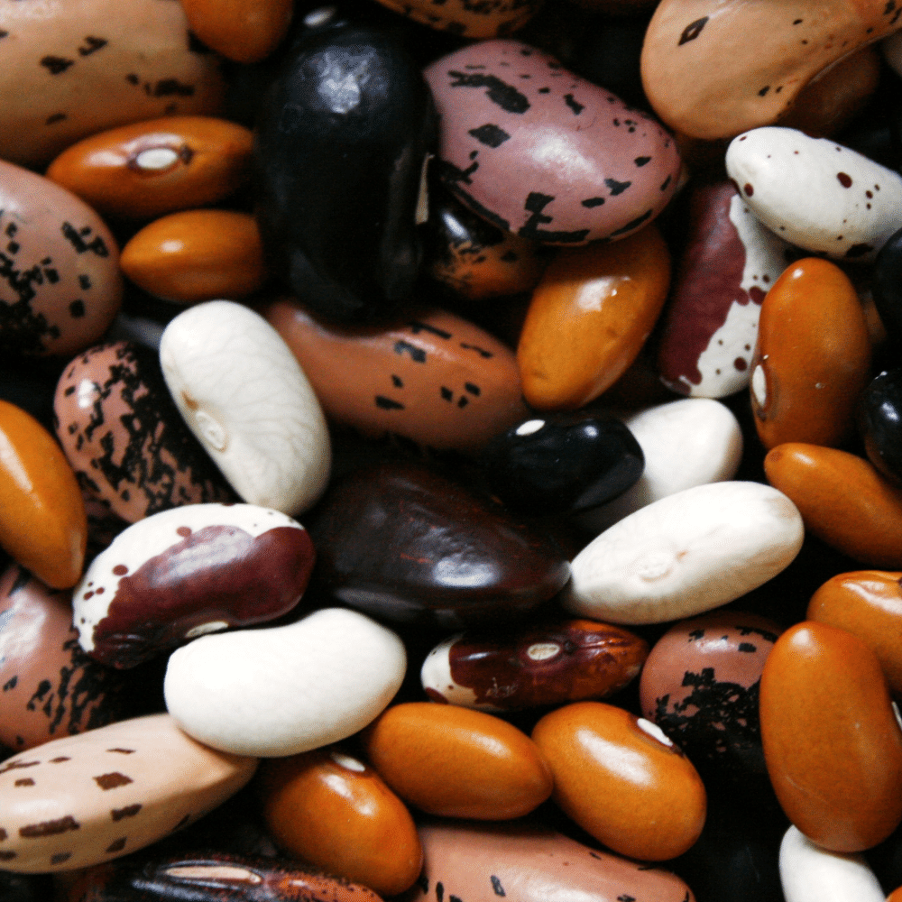 beans
