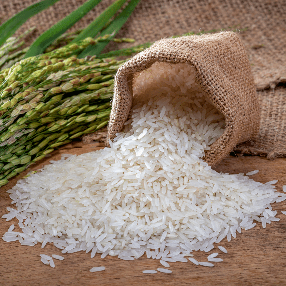 Jasmine rice