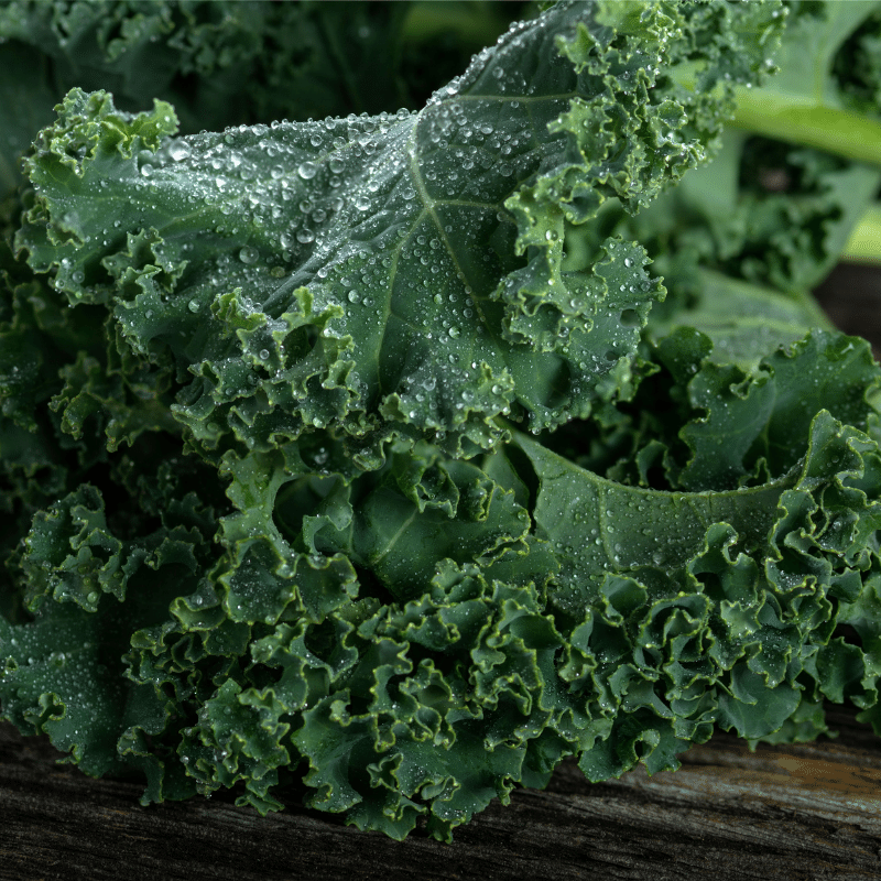 Kale