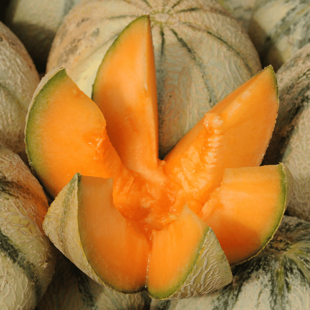 Muskmelons