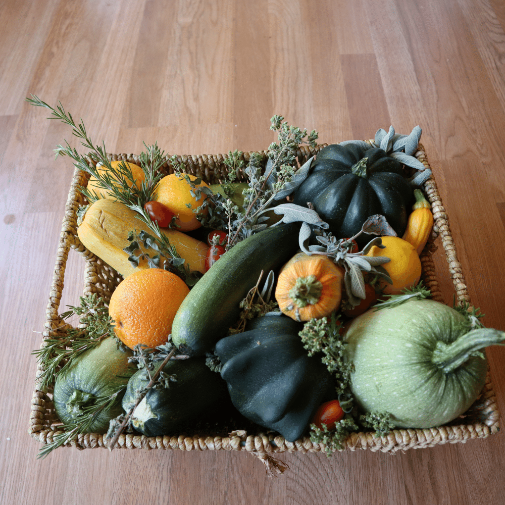 Summer squash