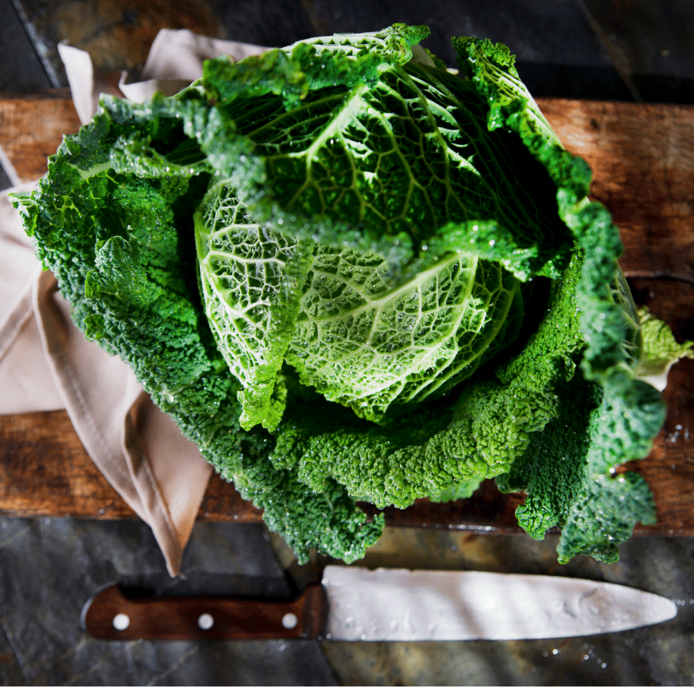 Cabbage Leaves