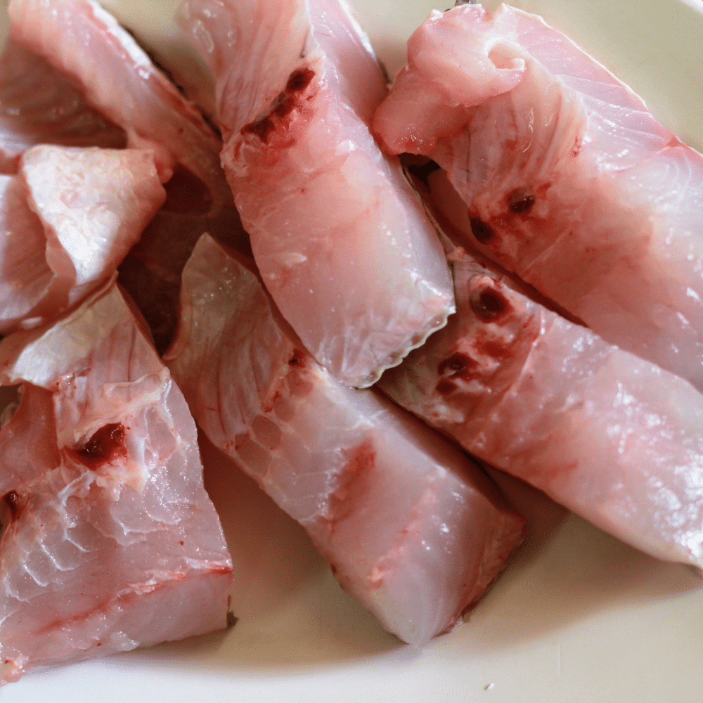 Fish