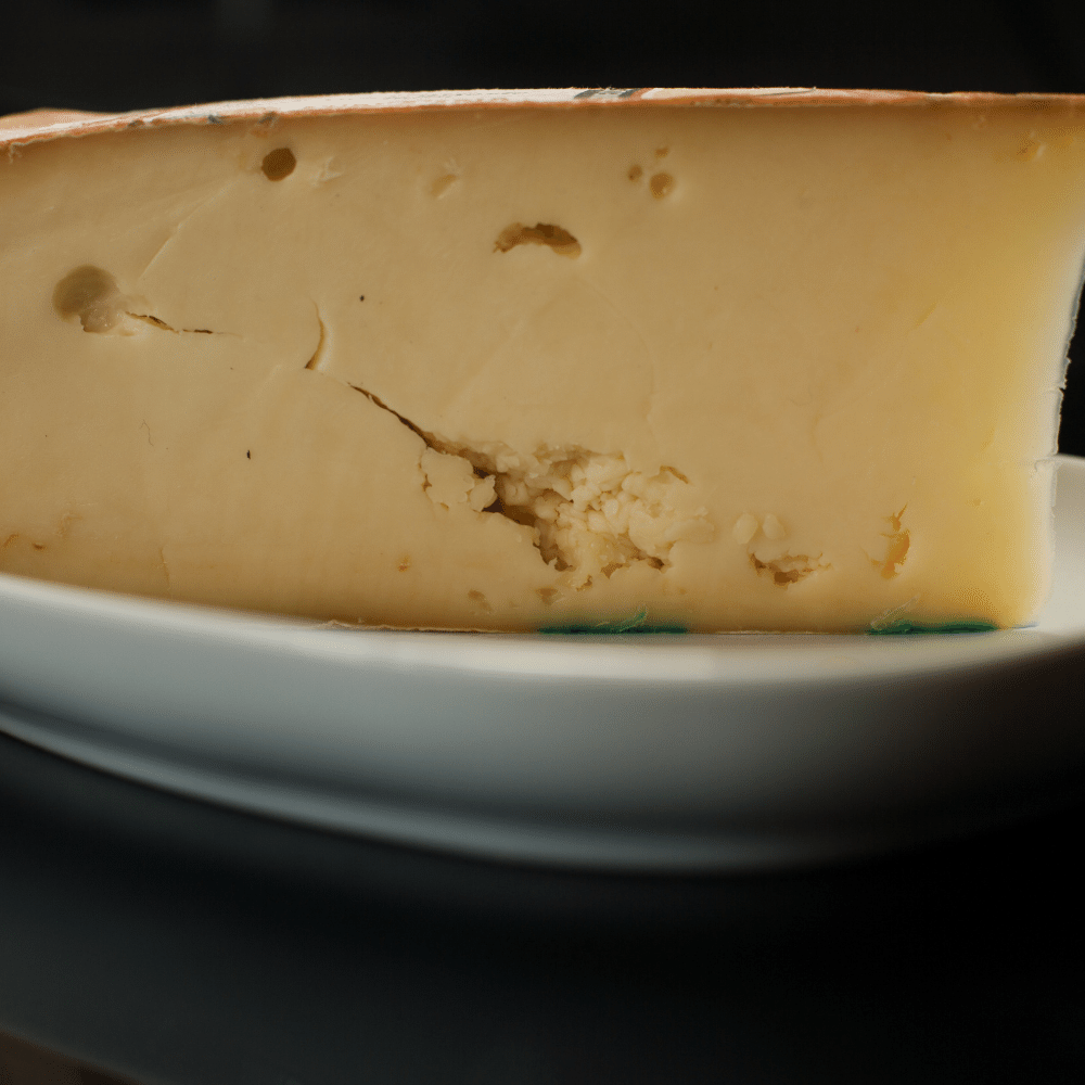 Fontina