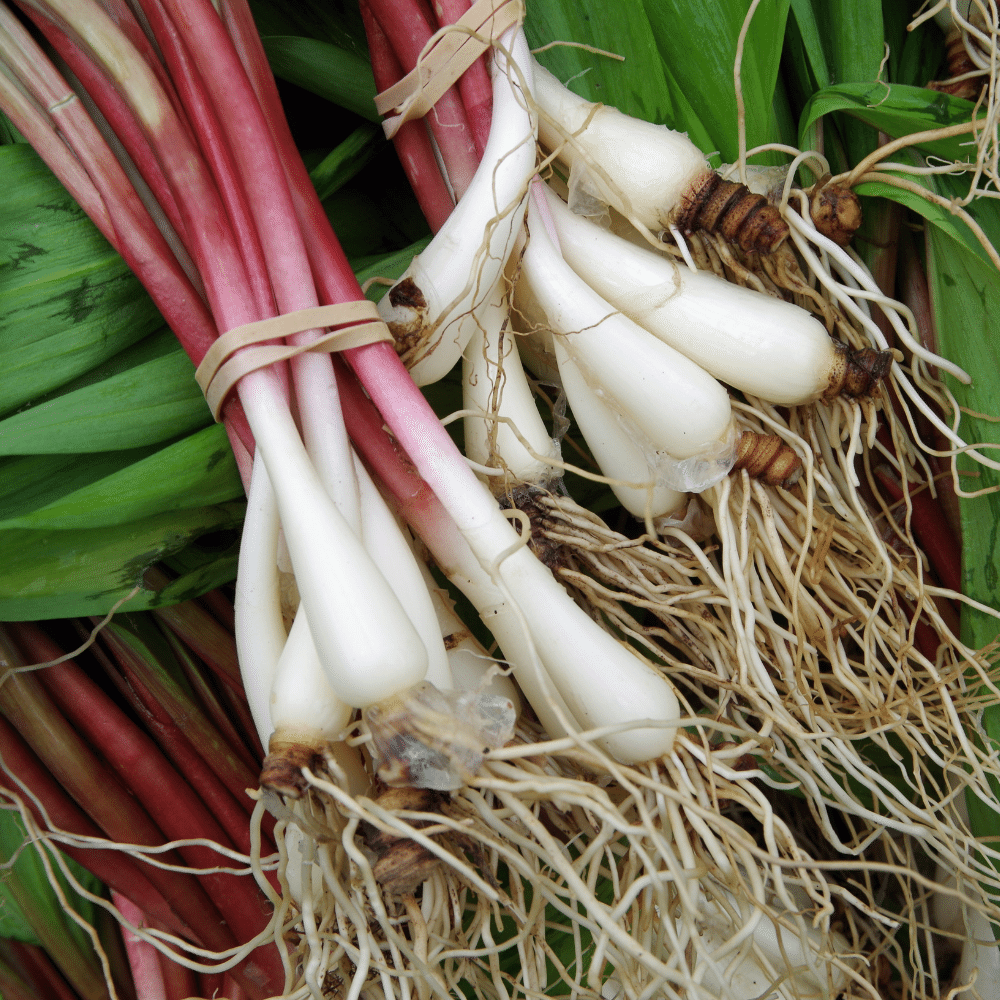 Ramps
