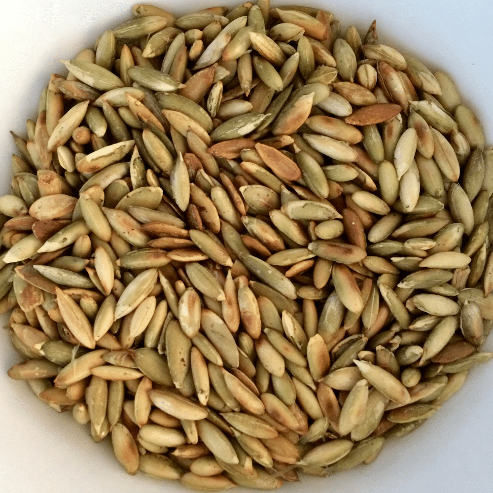 Toasted pumpkin seeds