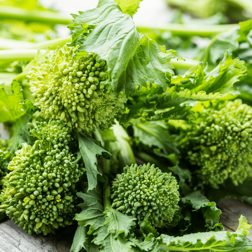Broccoli Rabe
