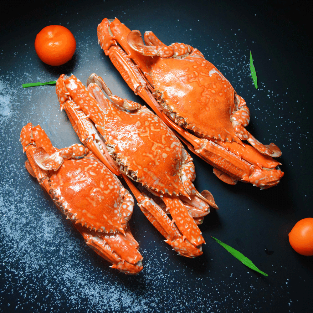 Crab