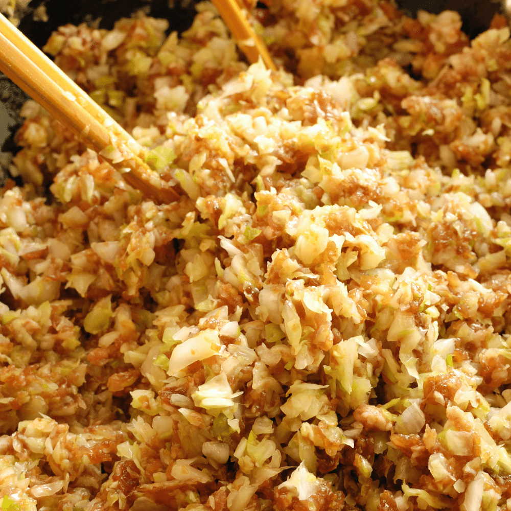 Dumpling Filling