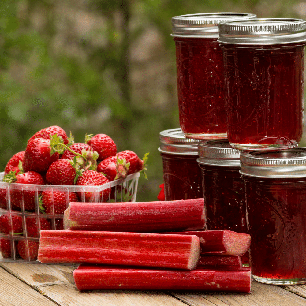 Jelly
