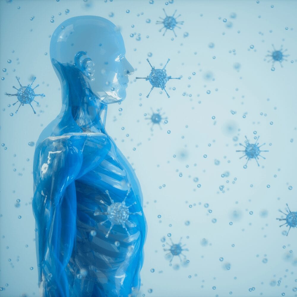 Immune System