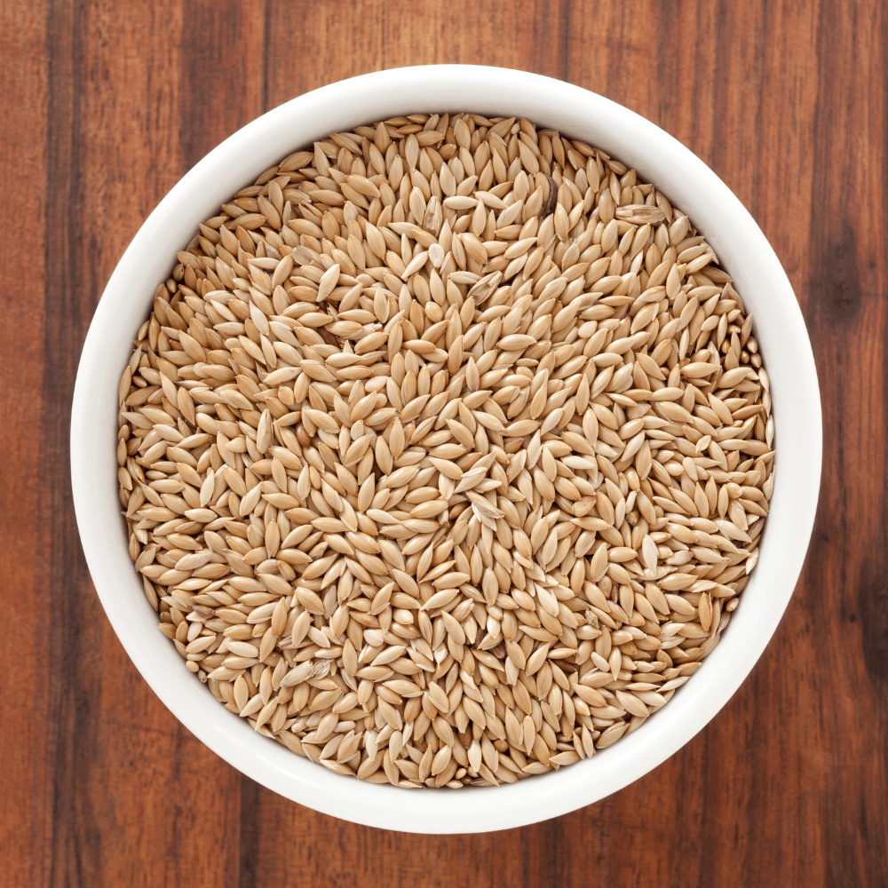 Birdseed