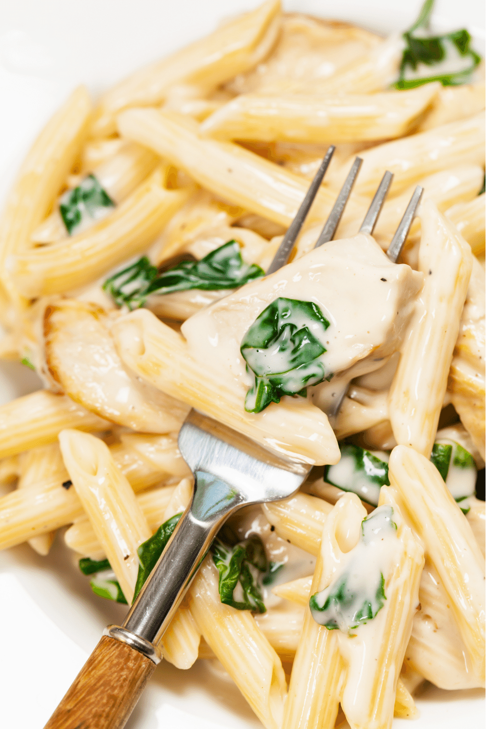 Chicken Alfredo