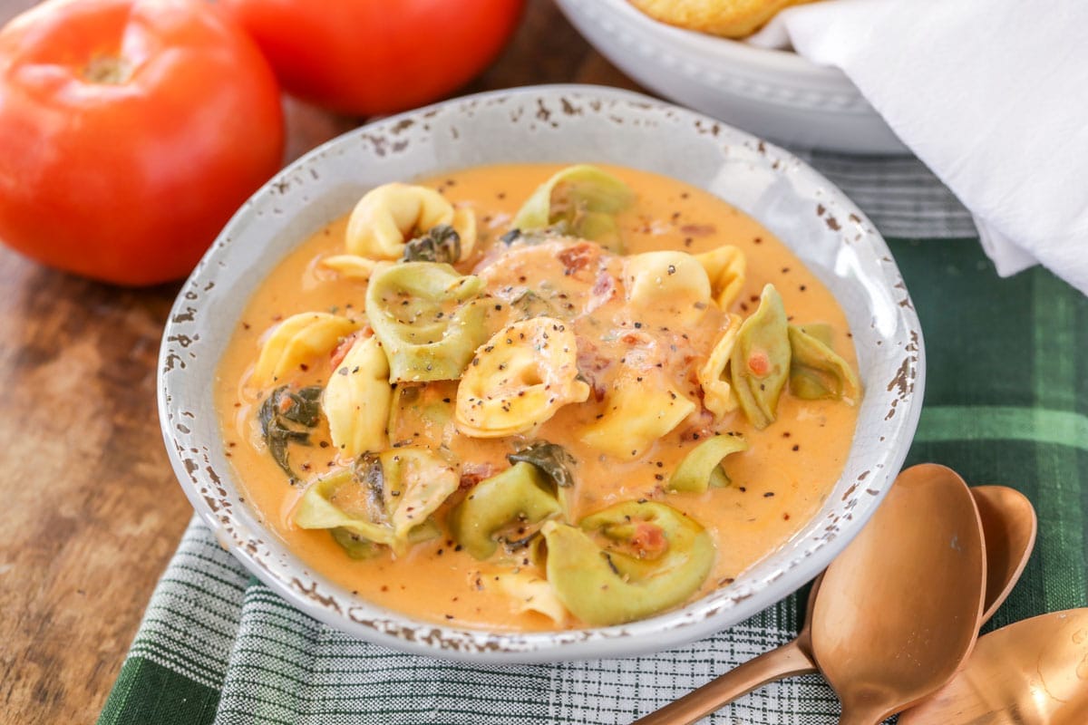 Crockpot Tortellini Spinach Soup