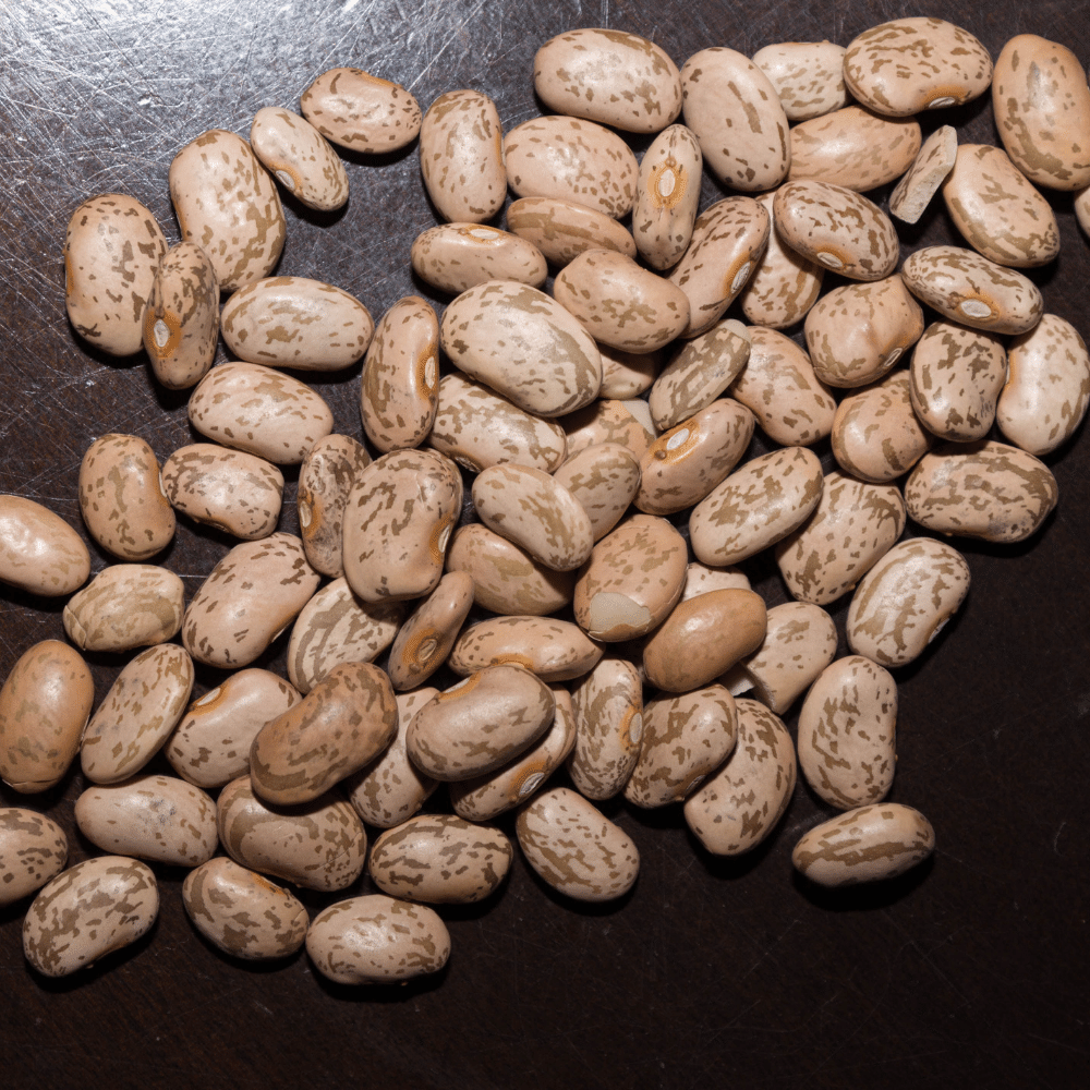 Navy Beans
