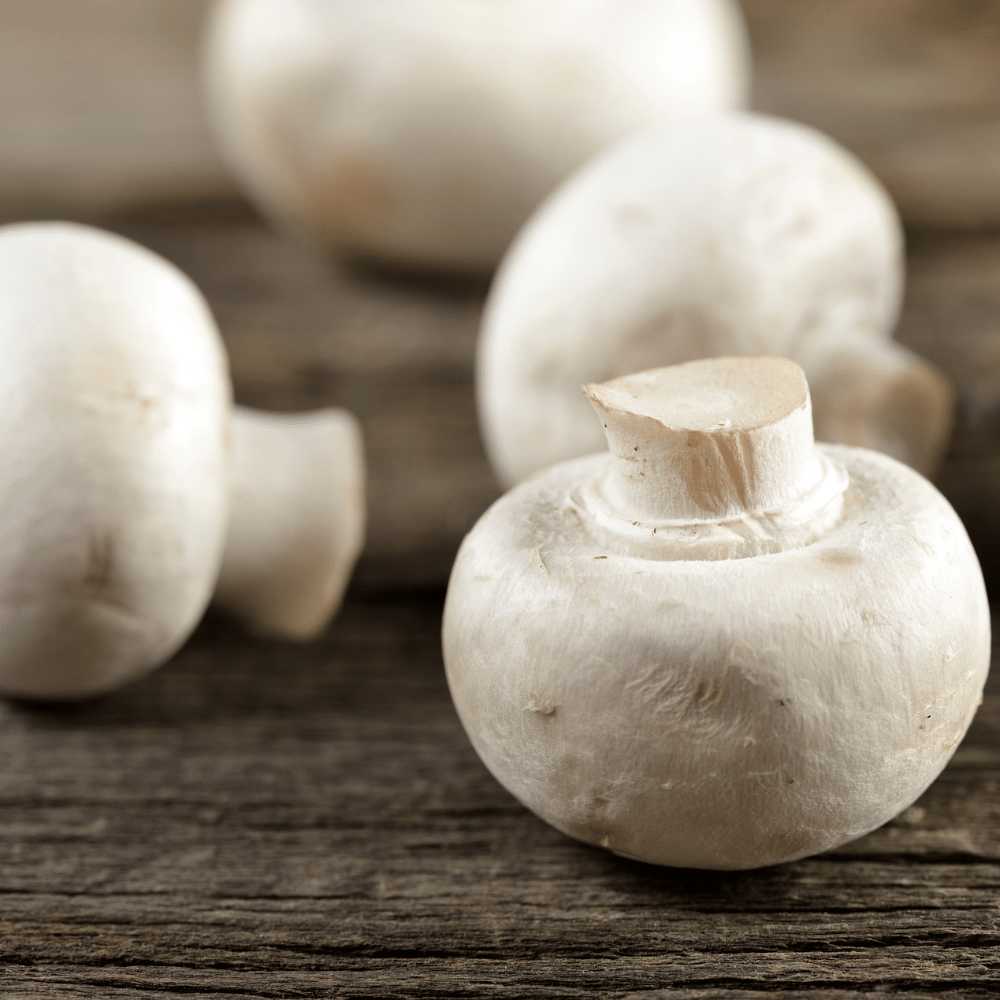 White Mushrooms