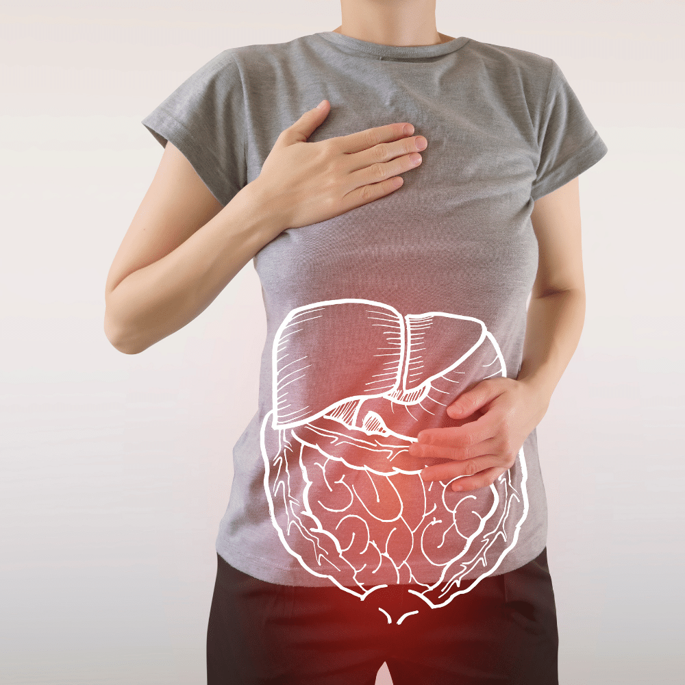 Digestive Enzymes