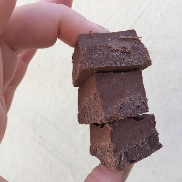 Fructose Free Chocolate Nut Fudge Easter Treats